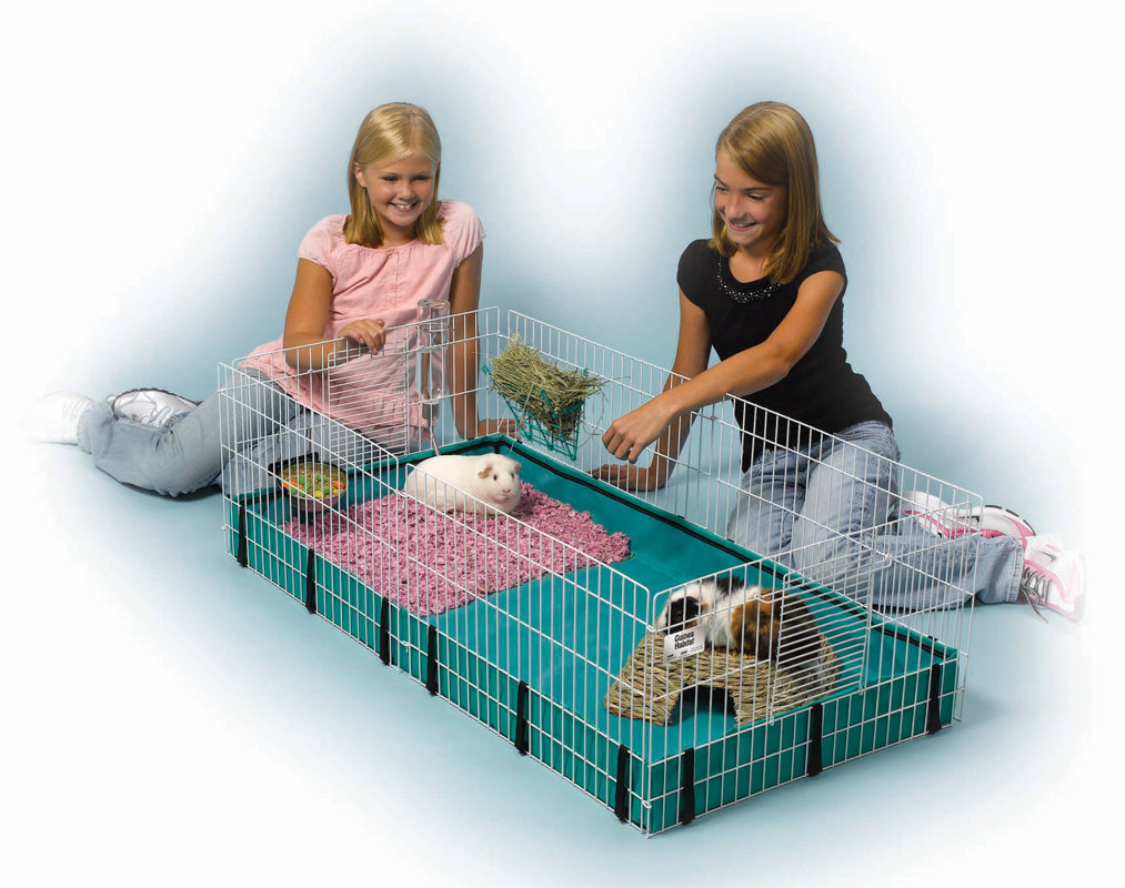 Midwest Homes For Pets Guinea Pig Playpen & Reviews Wayfair